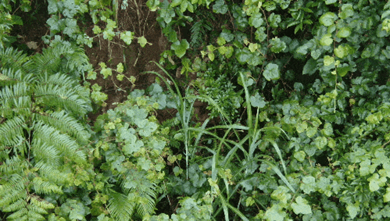 1682324067130205.png 圖片6.png